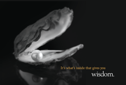 Wisdom